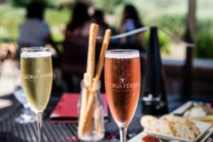 体育彩票停售还能买吗？解读彩票市场未来走向体育彩票停售还可以买吗