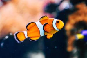 万联城体育彩票中心电话，开启彩票投注新篇章万联城体育彩票中心电话