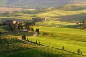 成都体育彩票商场电话号码全解析成都体育彩票商场电话号码